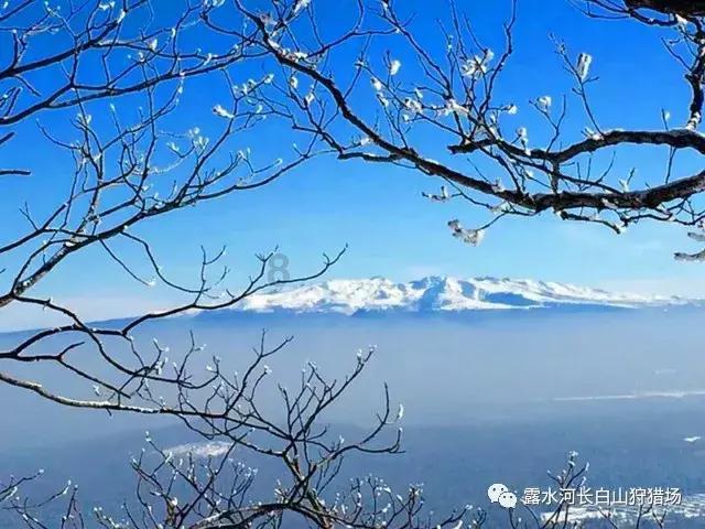 桂平市:联合执法推进违停整治